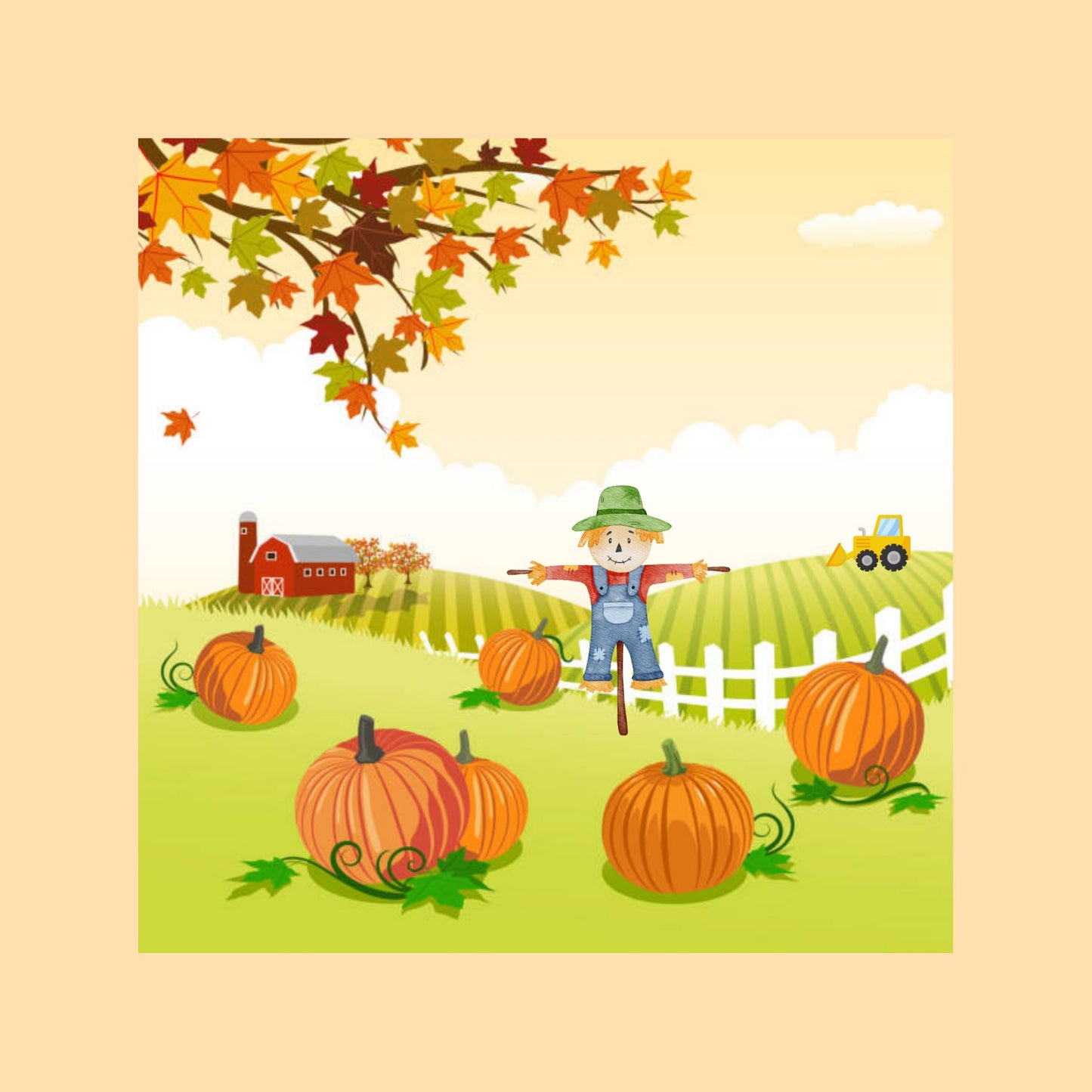 Pumpkin Patch