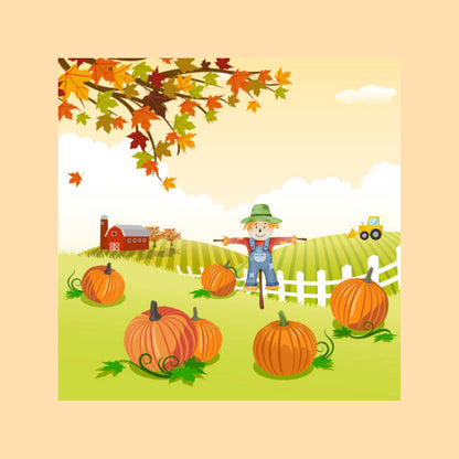 Pumpkin Patch